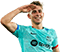 Fermin1.png